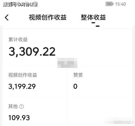 中视频收益计算截图