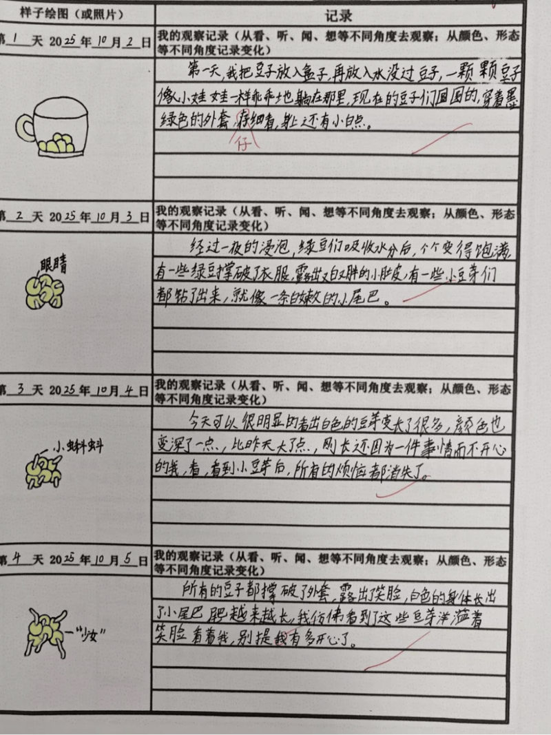 魔化生玩法研究心得