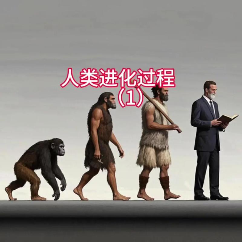 从猿猴到现代经历了多少年图标
