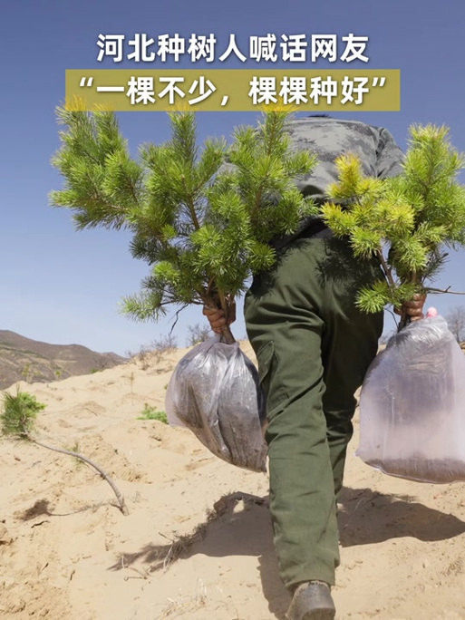 手机种树