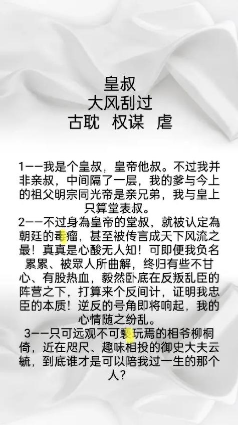 皇叔大风肉