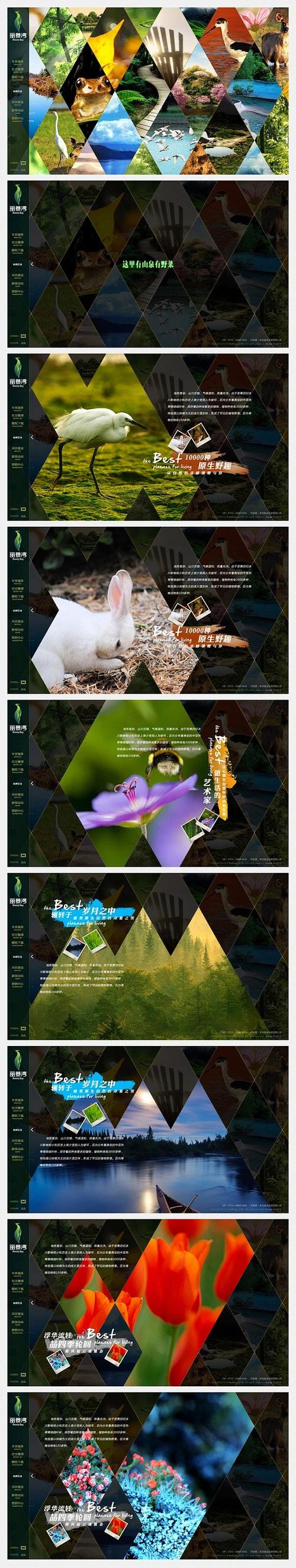 花瓣网设计网页版