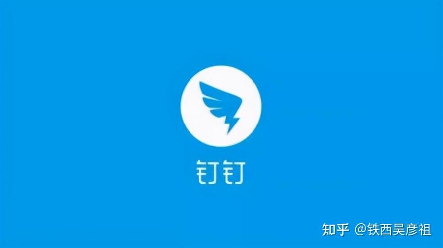 钉钉拍照闪退