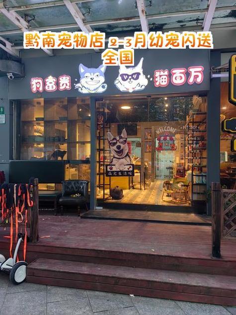 开宠物店去哪里学截图