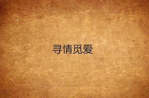 觅爱的意思游戏截图