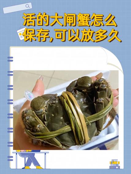 活螃蟹能放多久图标