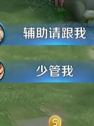 王者辅助思路和意识游戏截图