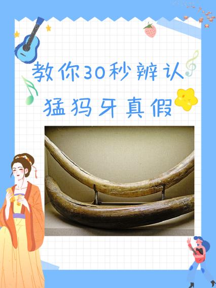 如何鉴定猛犸牙的真假图标