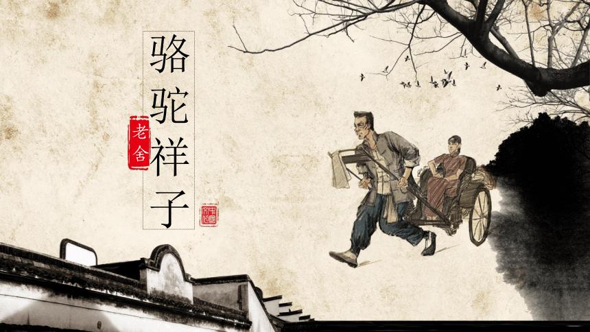 骆驼祥子图片大全大图