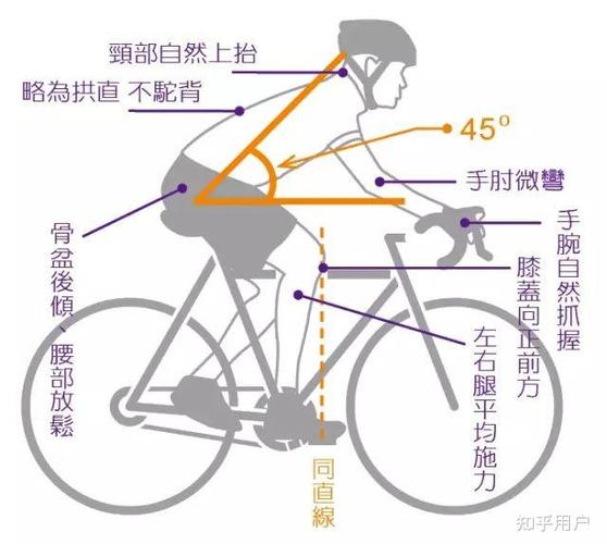 骑自行车正确姿势图标