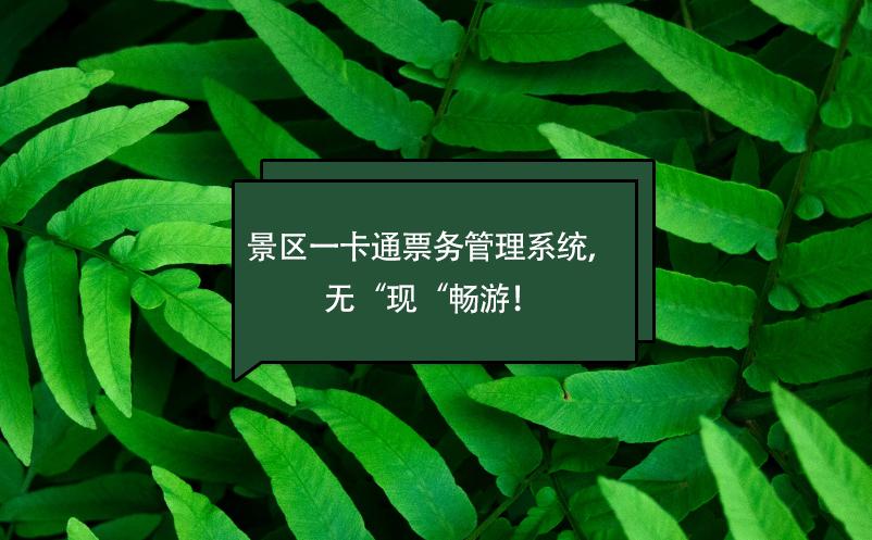 怎样才能不用实名认证玩游戏截图