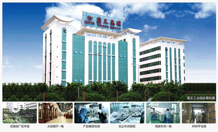 深圳霸王集团还在吗