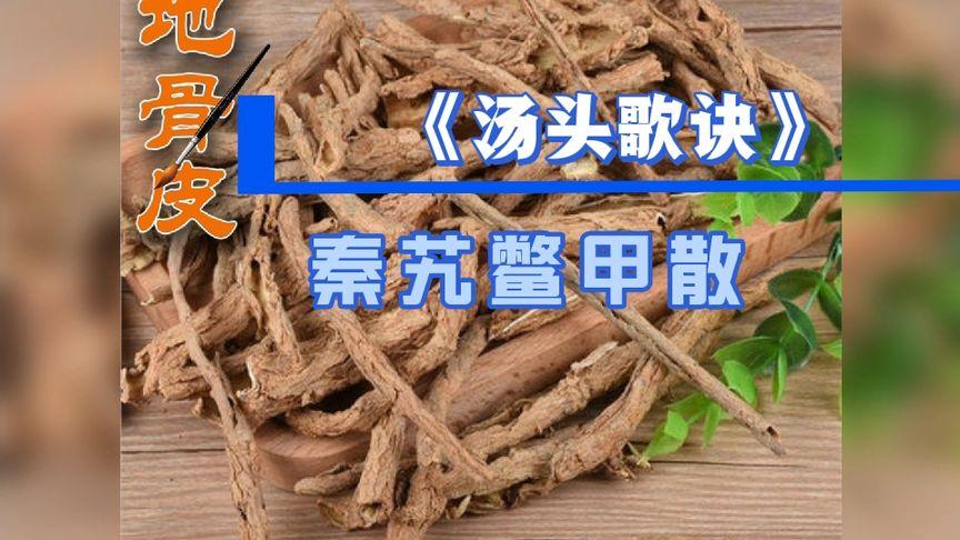 汤头条-5.3.0缩略图