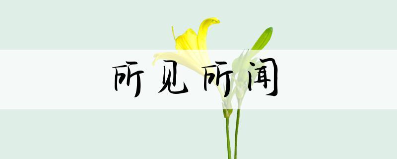 口碑最好的夹耳式耳机