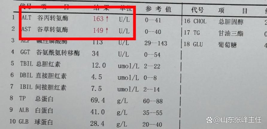 生存期限 百度云