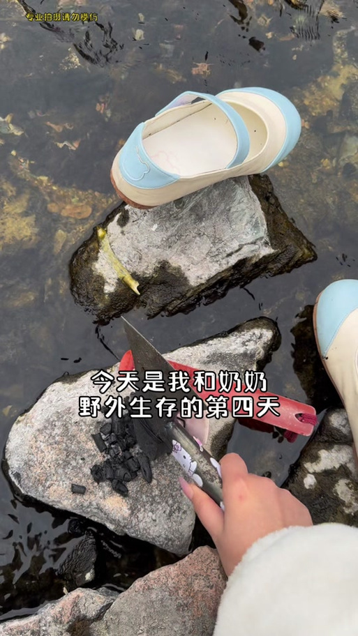 野生小希