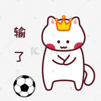输惨了的图片