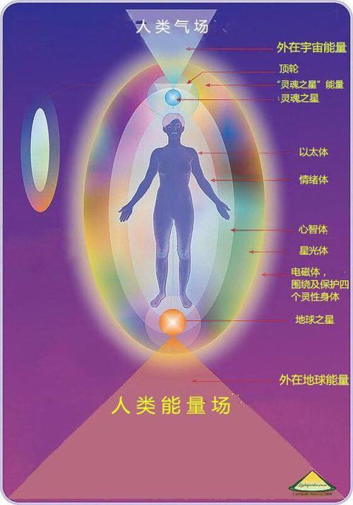 人体能量系统