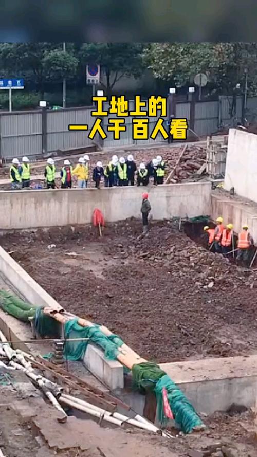 工地黄的干红的看白的说了算