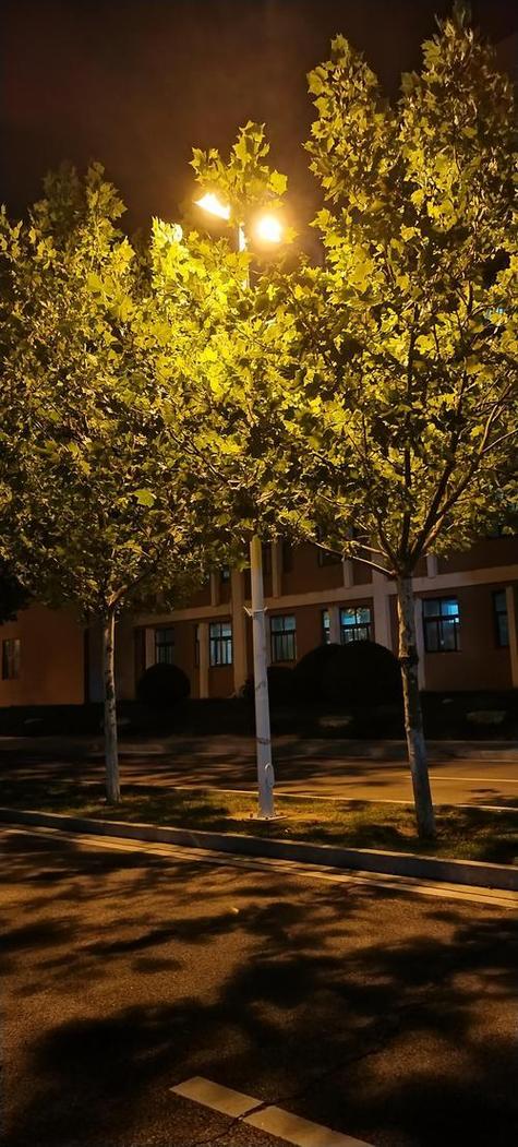 拍摄夜景的技巧