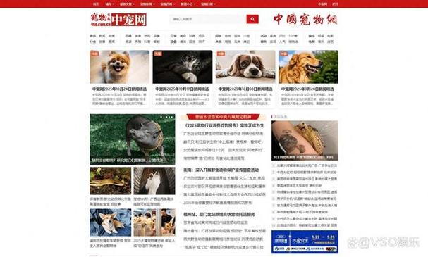 中国宠物网