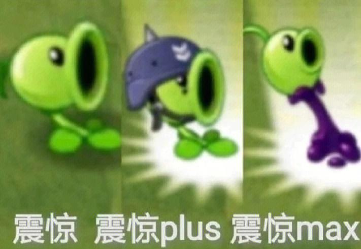 植物大战僵尸恶搞表情包截图