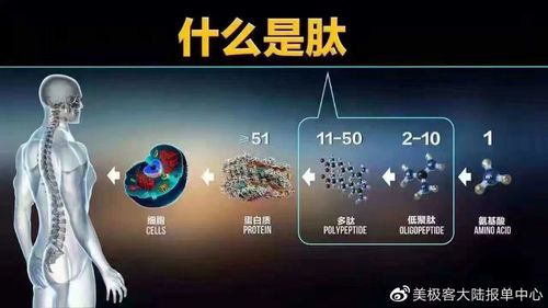 美极客效果那么好是真的吗