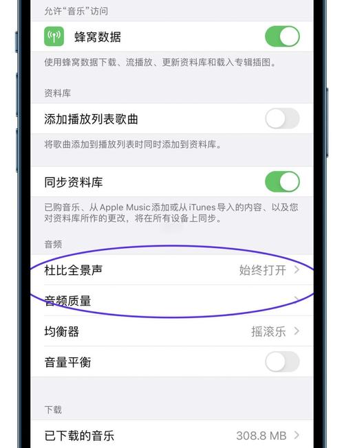 苹果音乐怎么设置无损