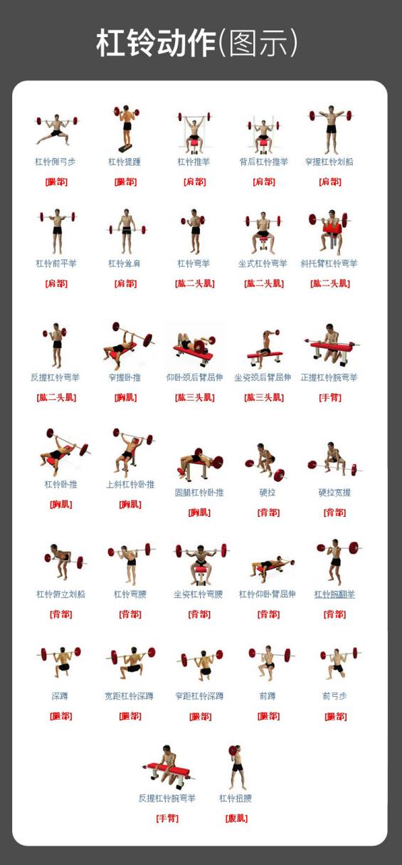 哑铃的正确使用方法