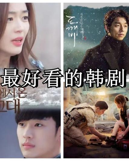 韩剧《蝙蝠》图标