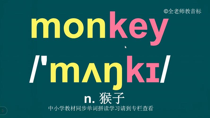 猴子英文发音