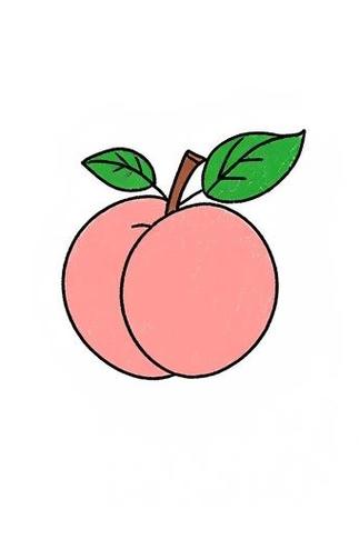 桃子果肉颜色的种类