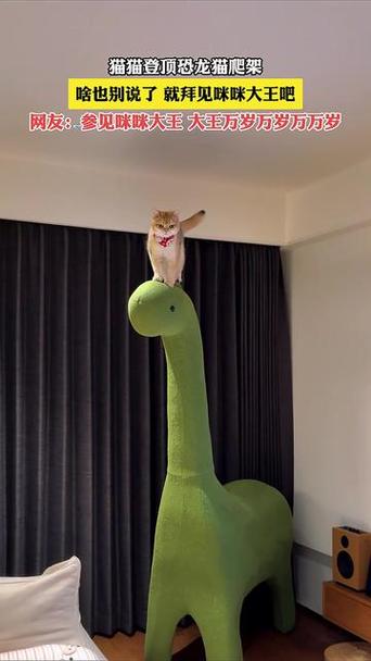 九。恐龙猫猫。