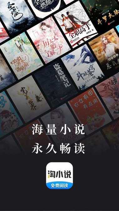 淘小说怎么下载小说