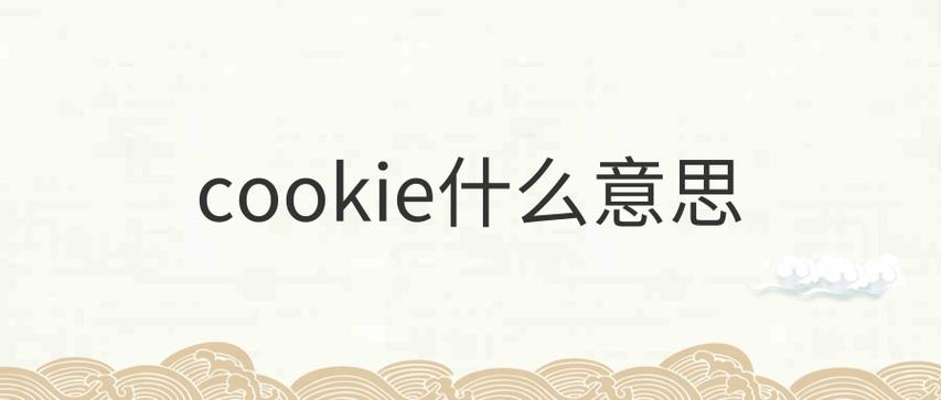 cookie是什么意思啊