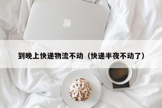 物流已揽收但物流不动截图