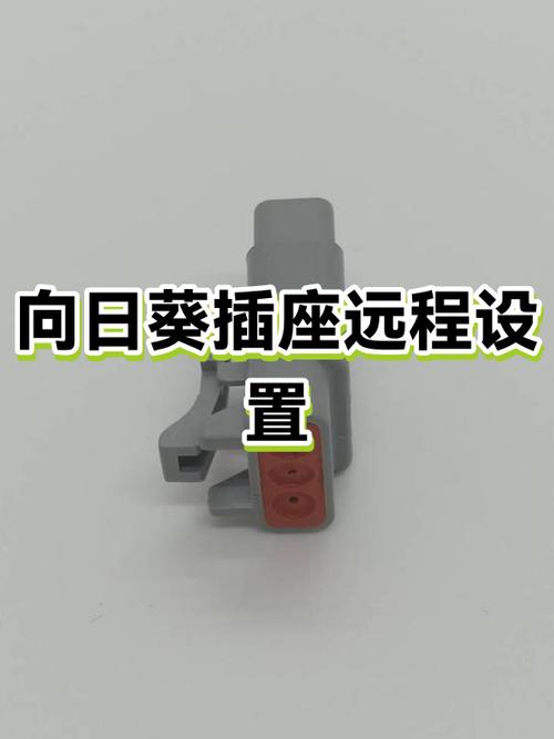 向日葵远程插座设置