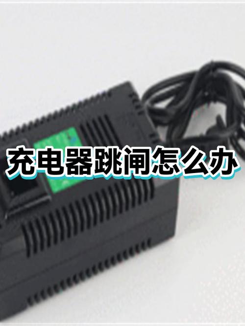 充电器烧了跳闸后整个室内没电