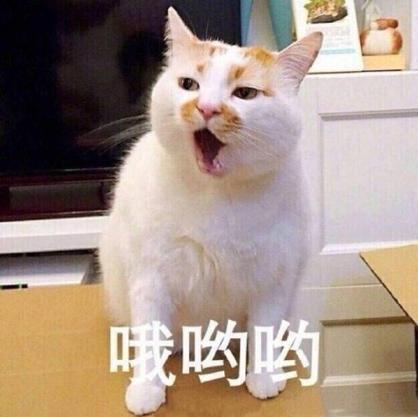 哦哟表情包缩略图