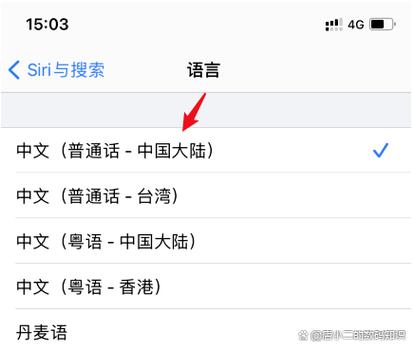 苹果语音转文字使用方法