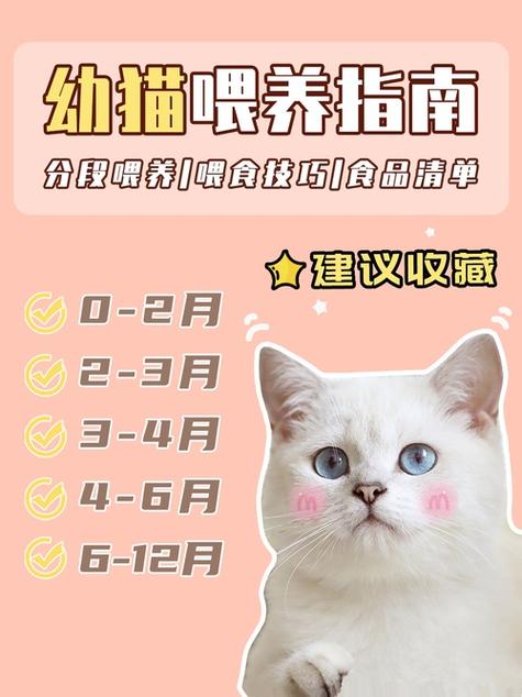 养猫的坏处