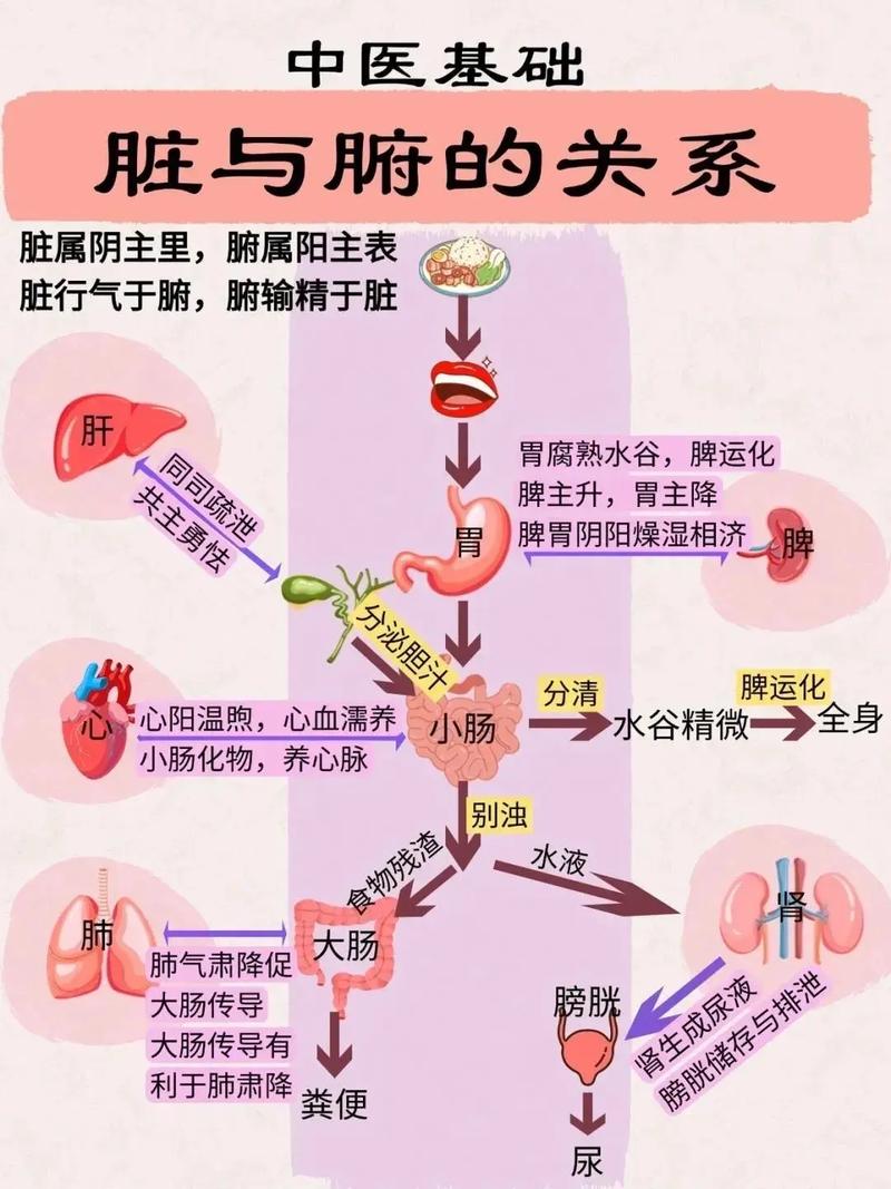 内吐和快速合球的关系