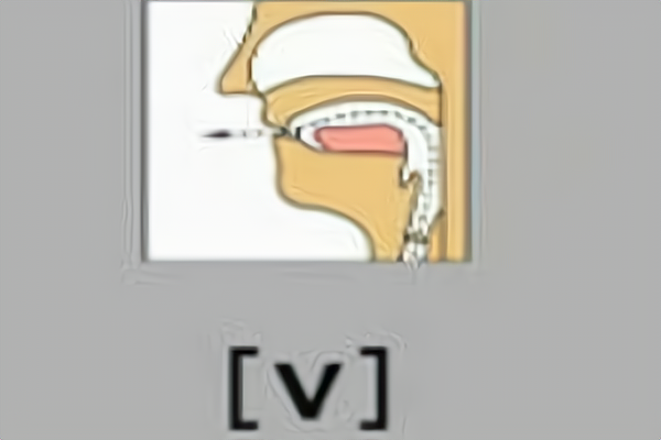 字母v的正确发音