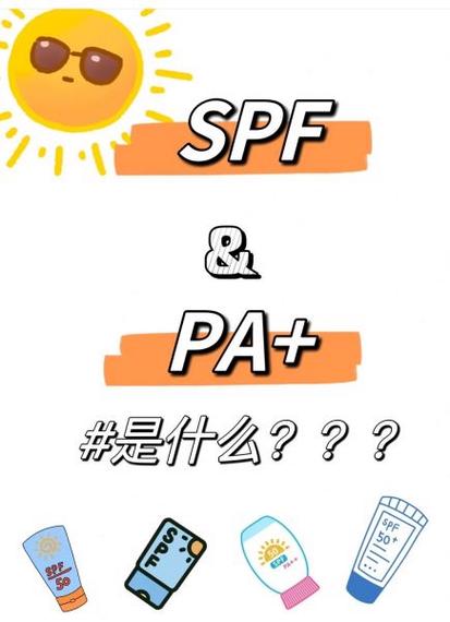 sdf是指男女什么关系
