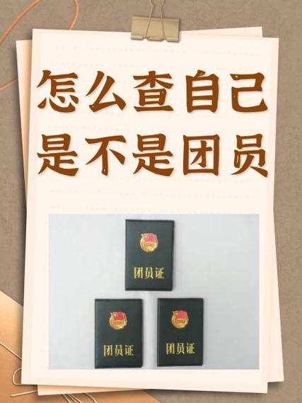 怎么查孩子是不是团员