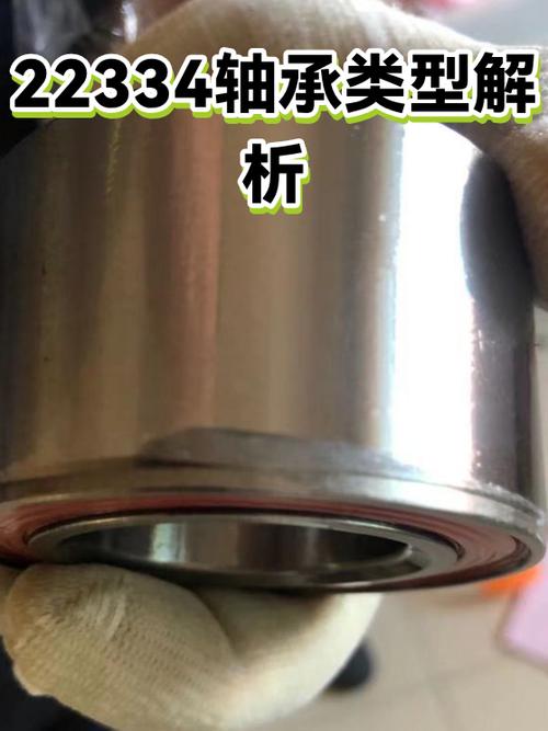一位女王的的调心得体会