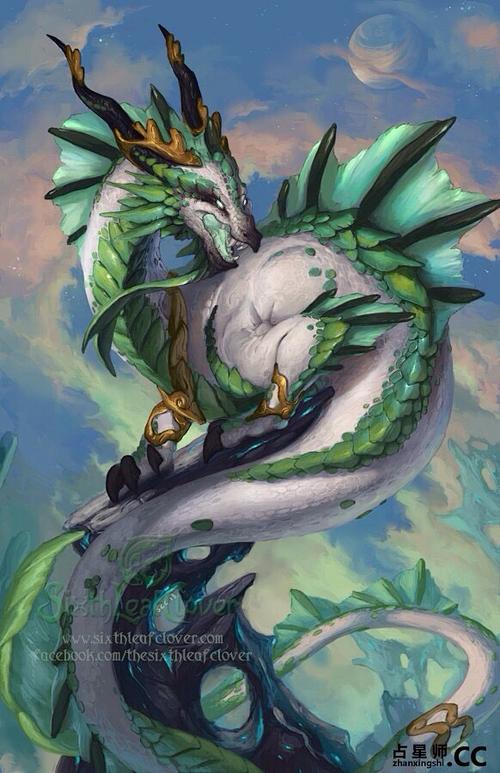 星座龙
