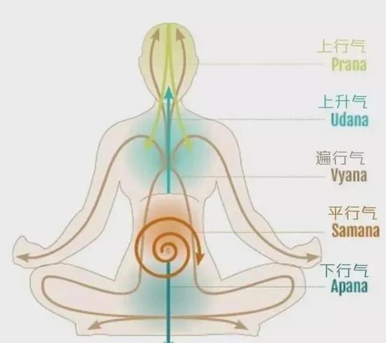 普拉那能量管道图