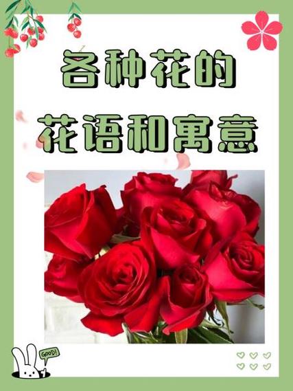 哪种花的花语是守护