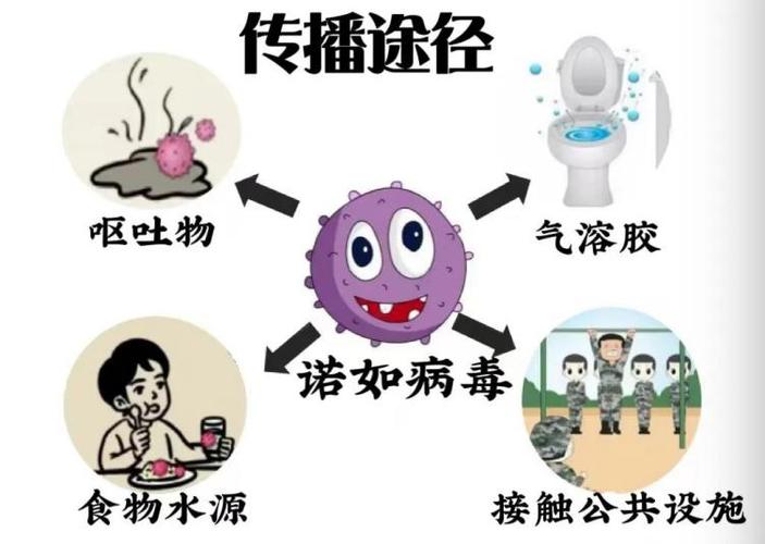 诺若病毒是怎样引起的